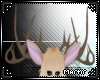 [M] Bev Antlers v2