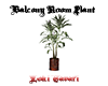 Balcony Room Plant