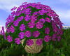 ~TQ~purple flower pot