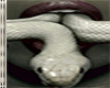 Snake Cutout