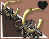 0123 Gold & Black Hoops