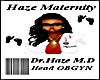DR. HAZE NAME BADGE