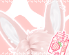 牛MAID: pinku bun ears