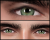 Aloe Green
