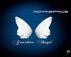 Novaspace-Guardian Angel