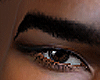 ` Asteri Brown Eyes
