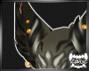 SUTA-| Ears