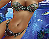 Mermaid Shell Bikini