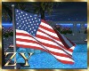 ZY: Anim. USA Flag