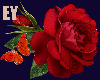 romanc love