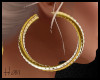 Gold Hoop Twisted