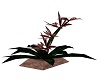 Endeavor Plant