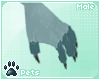 [Pets] Shayde | paws v2