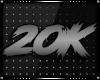 20K Support