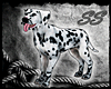 [SS] Dog Dalmatian F
