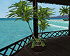 Beach Tall Plant