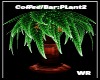 [WR]Coffee/Bar:Plant 2