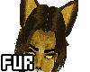 [B] Mercury Wolf Fur