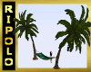 Tropical Palm Swing