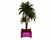 EG Taz Palm Tree