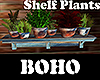 [M] BOHO Shelf Plants