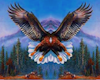 EAGLE BLANKET CACY