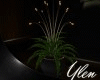 :YL:NoCha Deco Plant