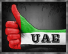 [SH] UAE Flag