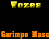 Voice Garimpo 2013*2