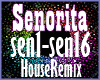 Senorita House Remix