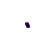 SVJ CAN P