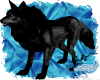 Blue Eyed Mountain Wolf