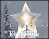 [kk] Christmas Pine Tree