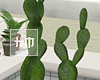 Minimal Muji - Cactus