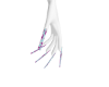 Purp LV Nails