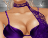 Mariposa Purple