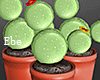 Macaron Decorative