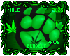 Kush Paws