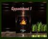 appartement 1