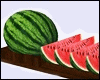 *Y* Tasty Watermelon