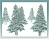 ! SNOWY EVERGREEN TREES