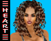 Honey Brown Highlights