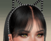 Cat Black