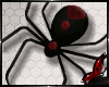 Black Widow Hair Spider