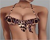 Summer CAT TOP