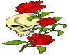 Skull and Roses