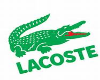 lacoste shoes