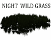 NIGHT WILD GRASS