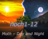 Moth – Day and Night