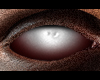Soulless Eyes